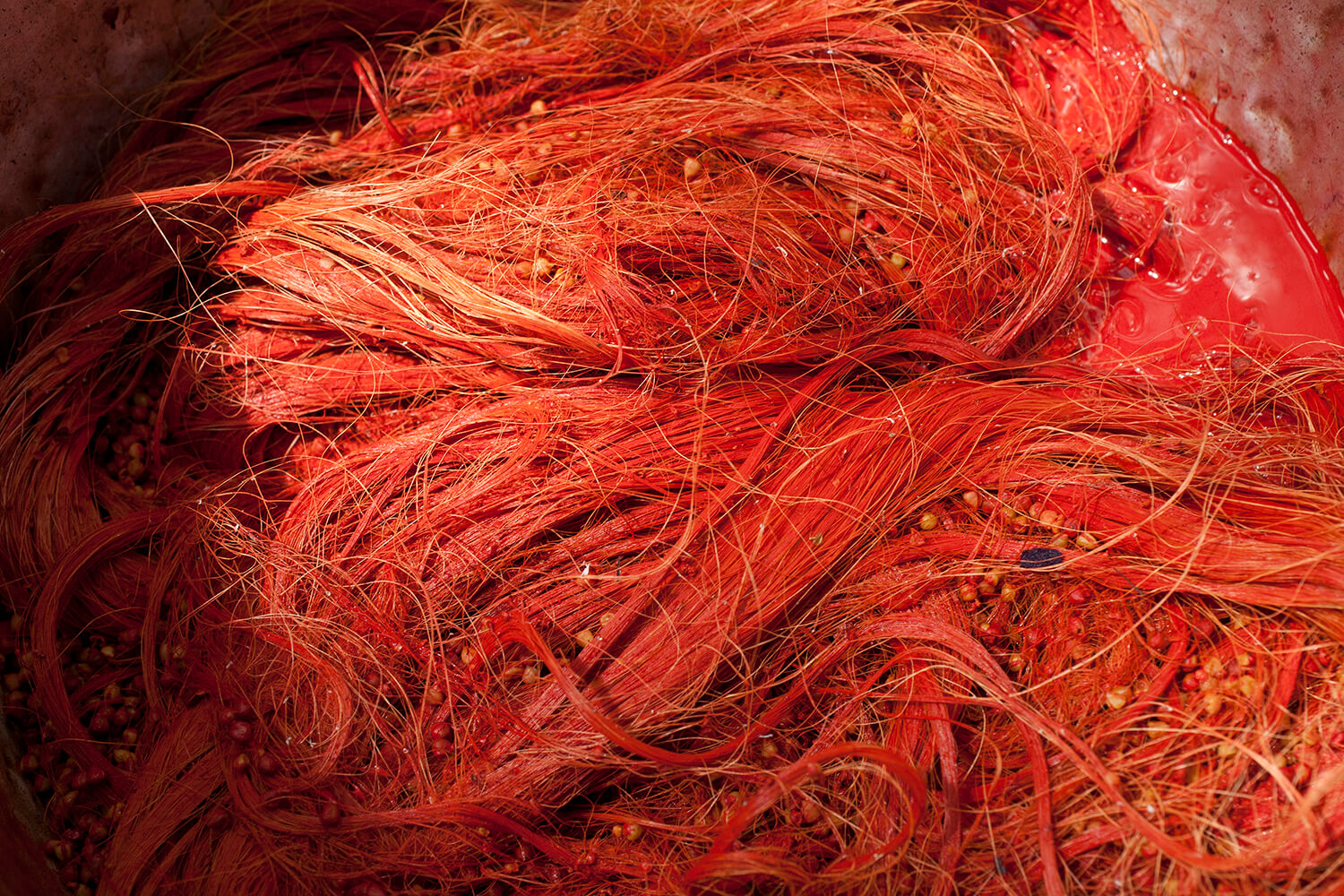 ACHIOTE 11_galeria_MG_5929.jpg